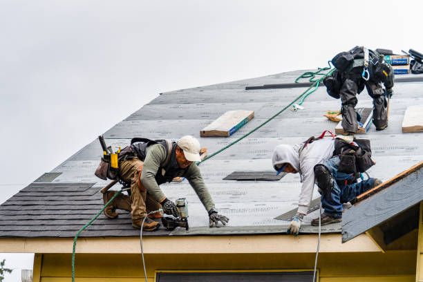 Professional Storm Damage Roof Repair technician working in Barton, OH